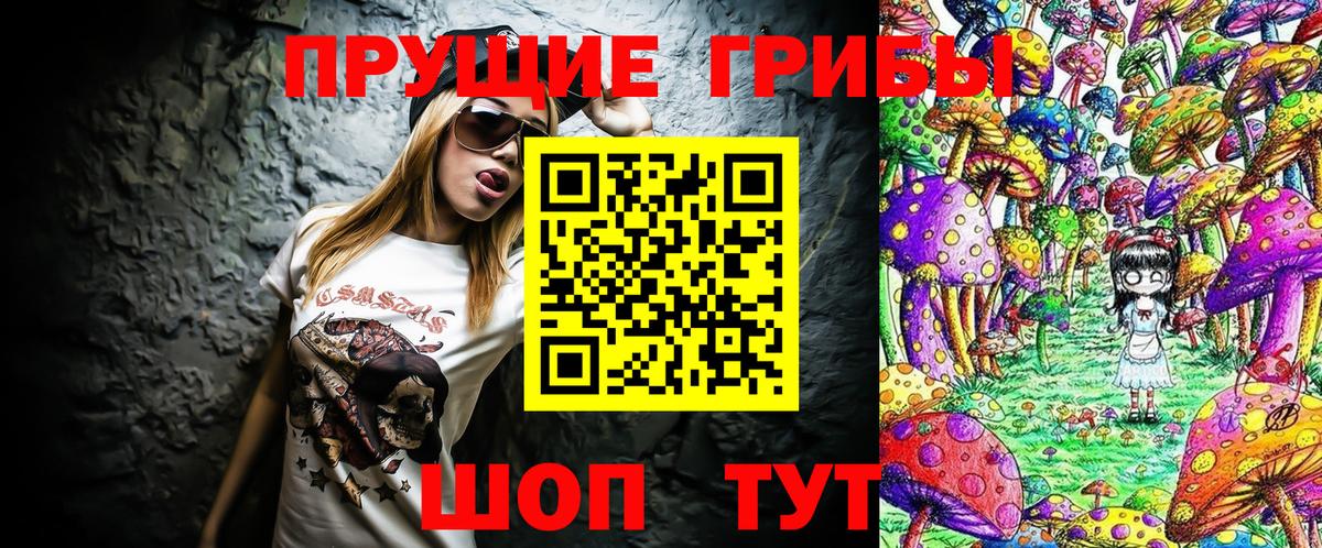 Гай  Псилоцибиновые грибы Cubensis  Вход с VPN 