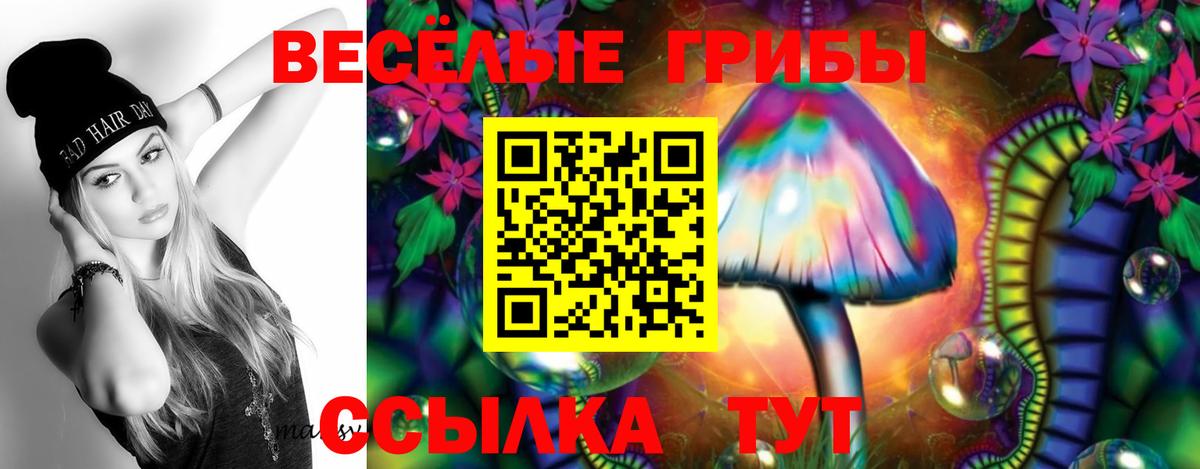 Галлюциногенные грибы мухоморы Гай