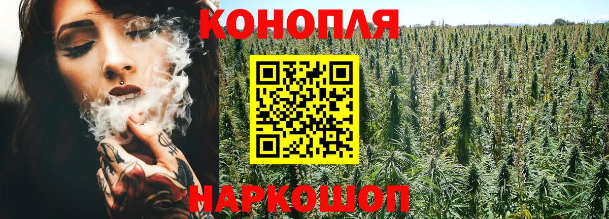 Бошки Шишки Amnesia Гай
